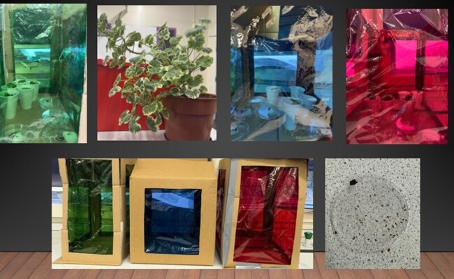 Blog Header Image