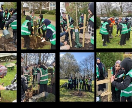Tree Planting