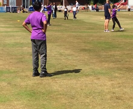 Cricket y6 2