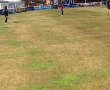 Cricket y6 5