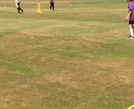 Cricket y6 6