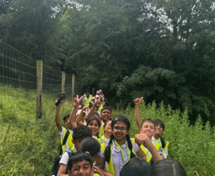 Image2 (1)