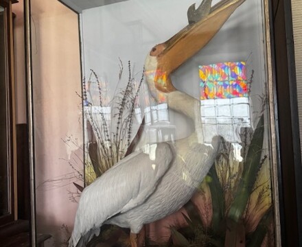 Image6 (2)