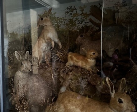 Image7 (2)