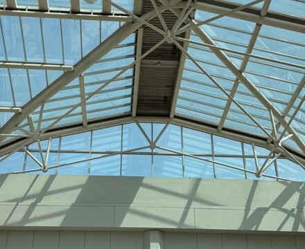 IMG 3795