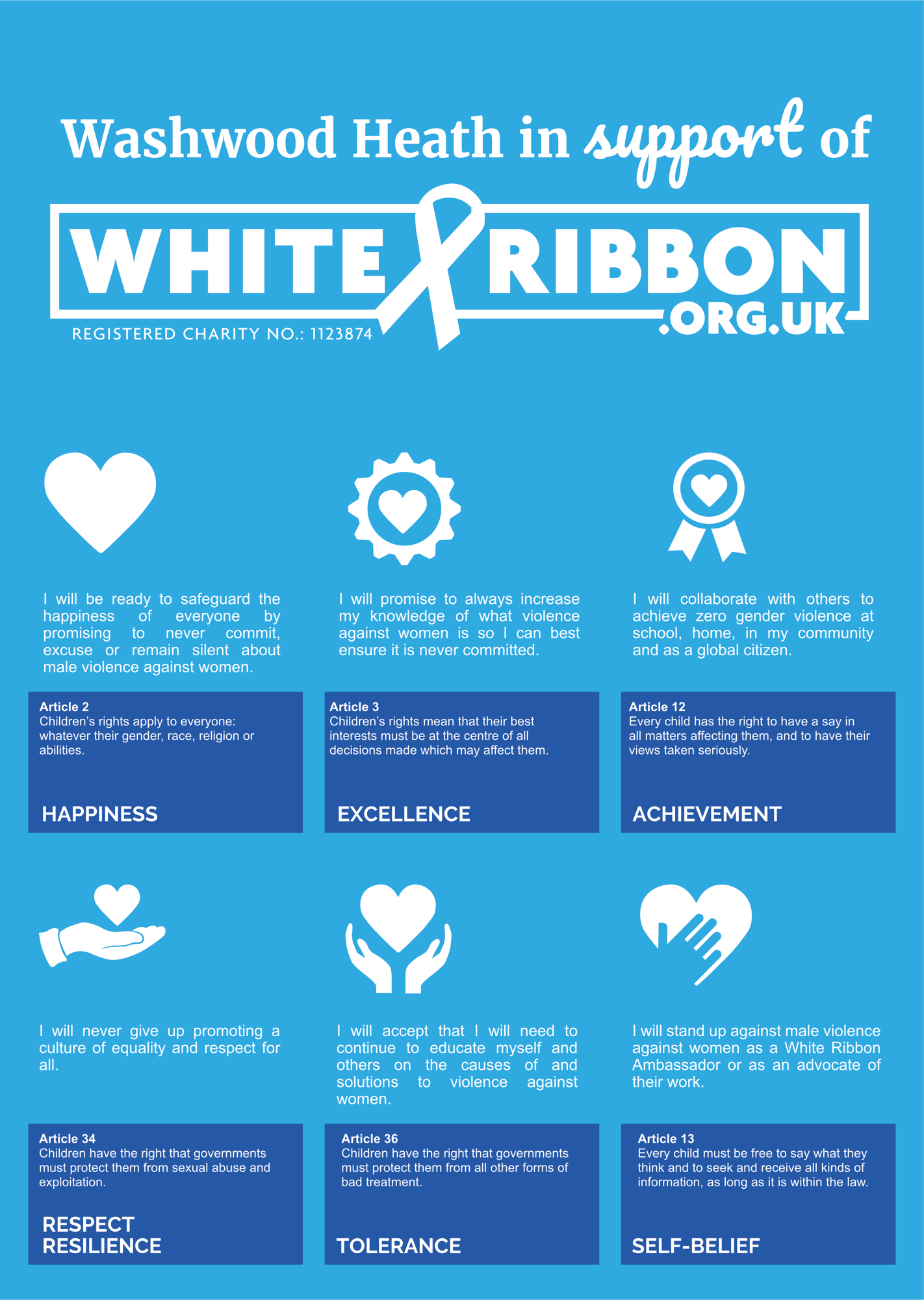 2 white ribbon info